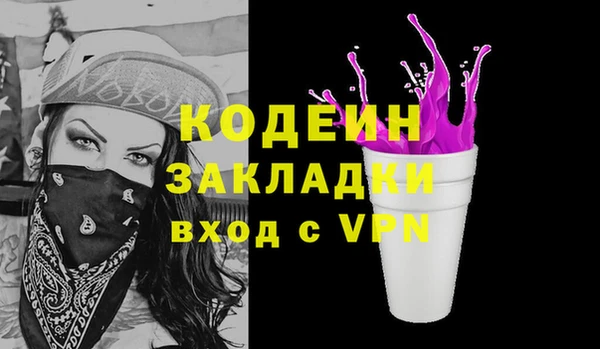 прущие грибы Новозыбков