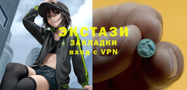 прущие грибы Новозыбков