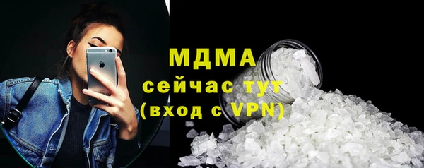прущие грибы Новозыбков