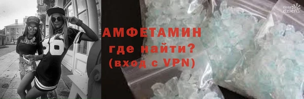 прущие грибы Новозыбков