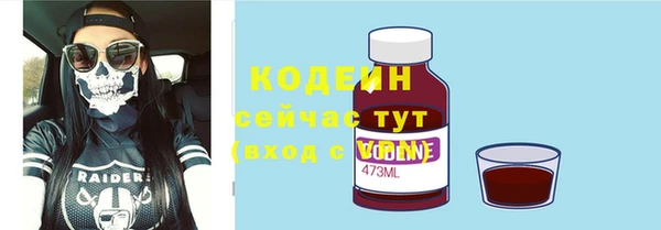 прущие грибы Новозыбков