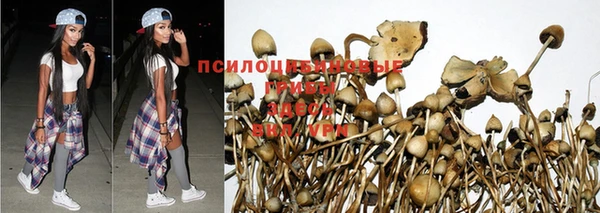 кокаин колумбия Новокубанск