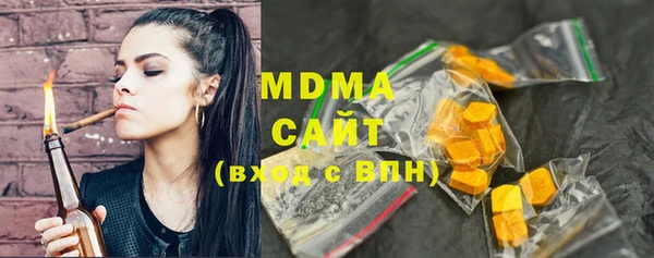 прущие грибы Новозыбков