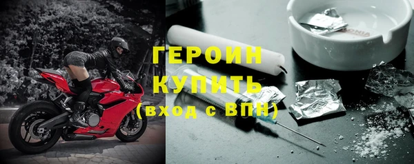 прущие грибы Новозыбков