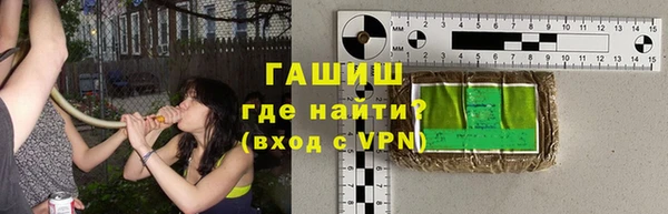прущие грибы Новозыбков