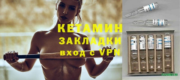 прущие грибы Новозыбков