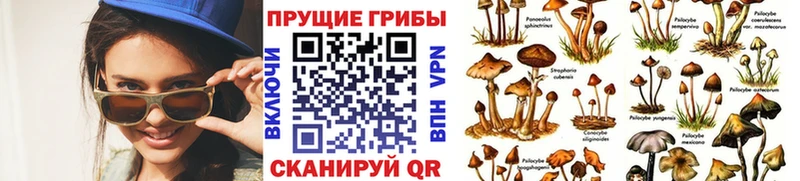 Псилоцибиновые грибы прущие грибы  Алзамай 